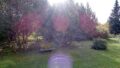 Blick in den Garten