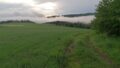 Natur Pur
