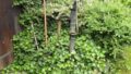 Garten Details