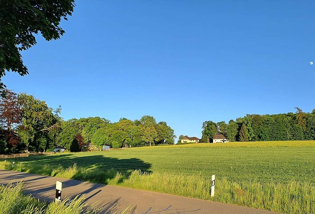 Ansicht